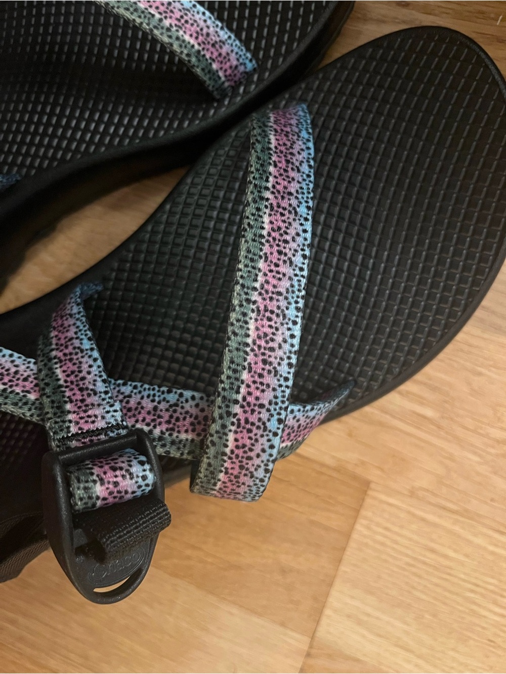 Brand New in Box Chaco Z/1 Rainbow Trout Sandals W11 M9